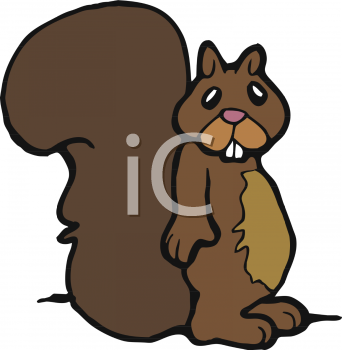 Squirrel Clipart