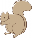 Squirrel Clipart