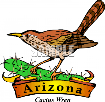Cactus Clipart