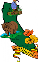 Poppy Clipart