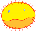 Sun Clipart
