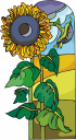 Sunflower Clipart