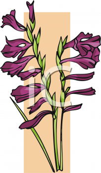 Lily Clipart