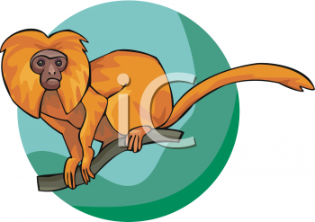 Mammal Clipart