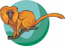 Mammal Clipart