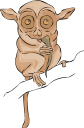 Mammal Clipart