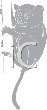 Mammal Clipart