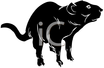 Mammal Clipart
