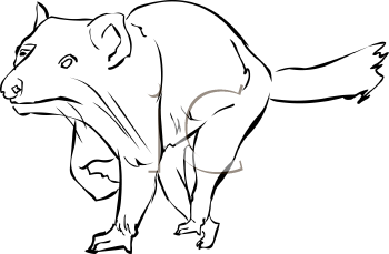 Mammal Clipart