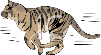 Mammal Clipart