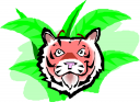 Cat Clipart