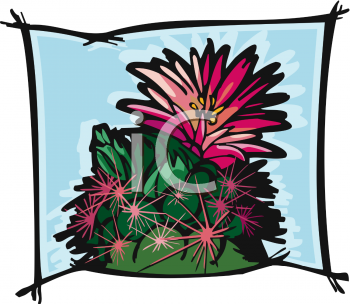Cactus Clipart