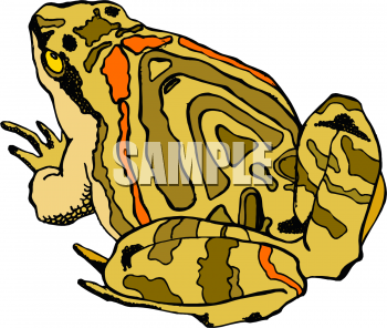 Frog Clipart