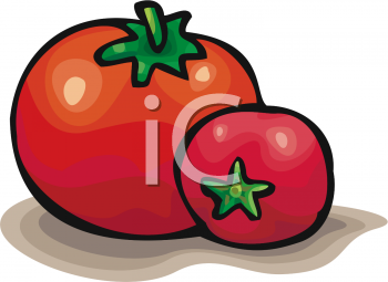 Tomato Clipart