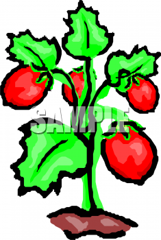 Farm Clipart
