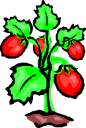 Farm Clipart