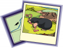 Tourism Clipart