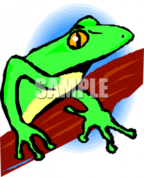Frog Clipart