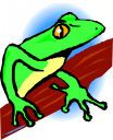 Frog Clipart