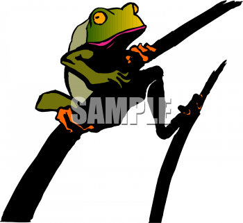 Frog Clipart