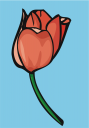 Tulip Clipart