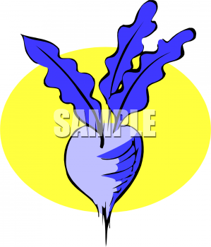 Turnip Clipart