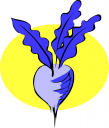 Turnip Clipart