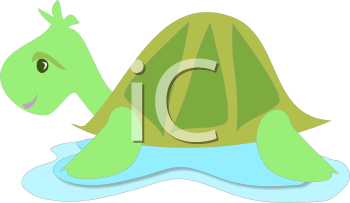 Turtle Clipart