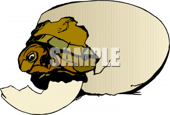 Turtle Clipart