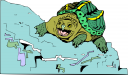 Turtle Clipart