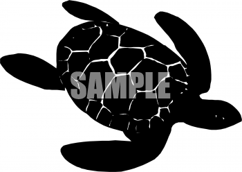 Turtle Clipart