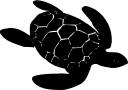 Turtle Clipart
