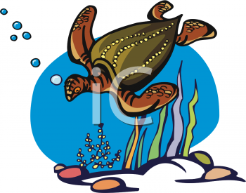 Turtle Clipart