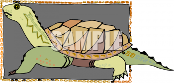 Turtle Clipart