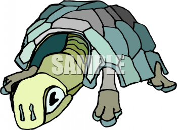 Turtle Clipart
