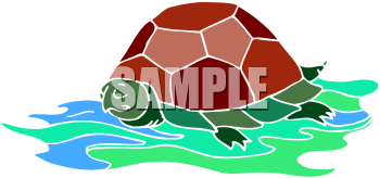 Turtle Clipart