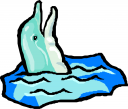 Dolphin Clipart
