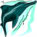 Dolphin Clipart