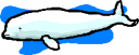 Dolphin Clipart