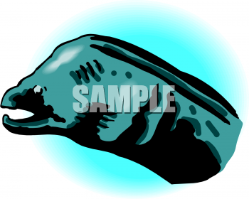 Fish Clipart