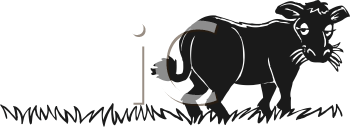 Cow Clipart