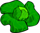 Lettuce Clipart