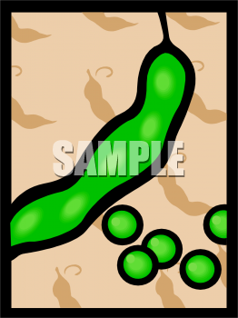 Peas Clipart