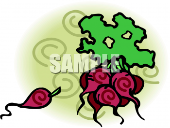 Turnip Clipart