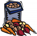 Carrot Clipart