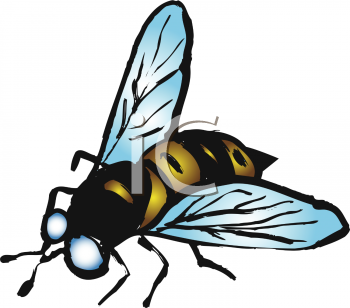 Bug Clipart