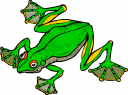 Frog Clipart
