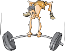 Weightlifting Clipart