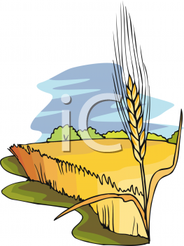 Field Clipart