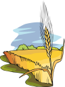 Wheat Clipart